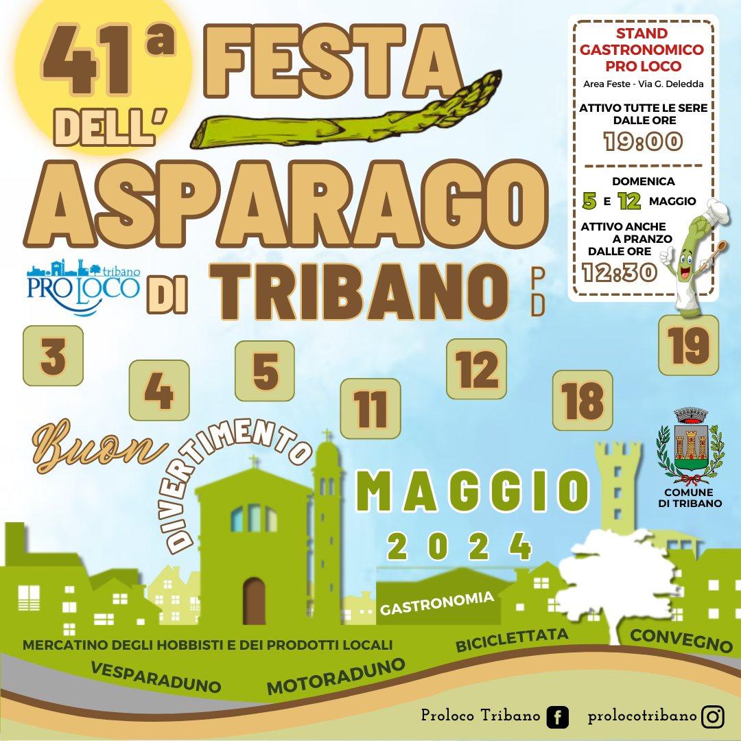 41^ Festa dell'Asparago 